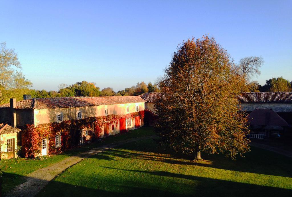 Chateau De Theon Hotel Cozes Buitenkant foto