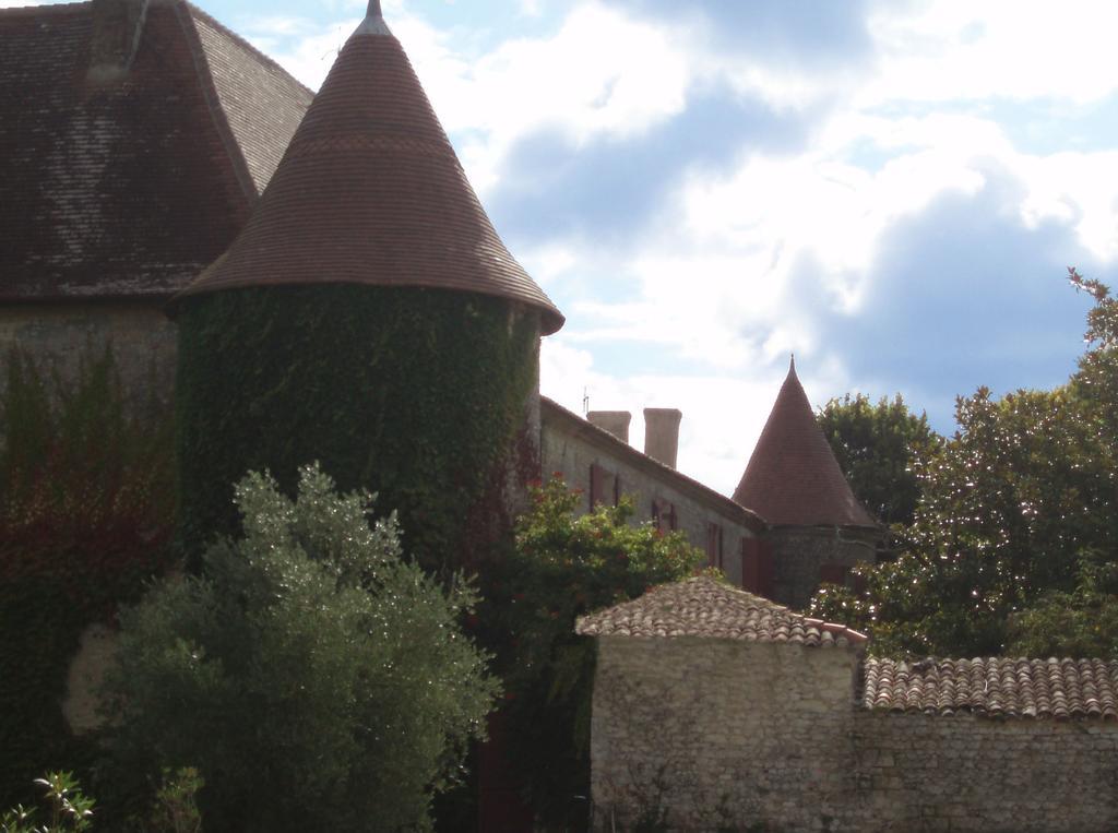 Chateau De Theon Hotel Cozes Buitenkant foto